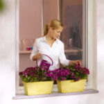 Mückenschutz, Pollenschutz Traunstein